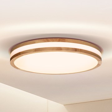 Brilagi - LED Laevalgusti MOLINA LED/24W/230V tamm
