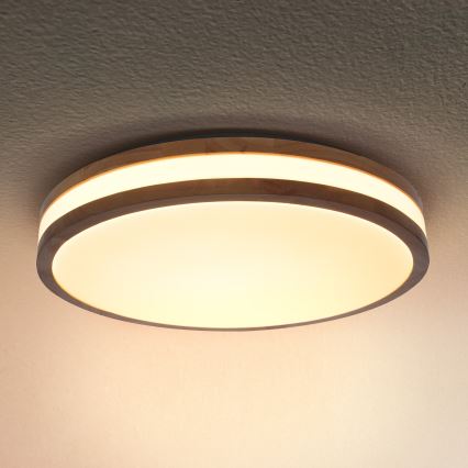 Brilagi - LED Laevalgusti MOLINA LED/24W/230V tamm