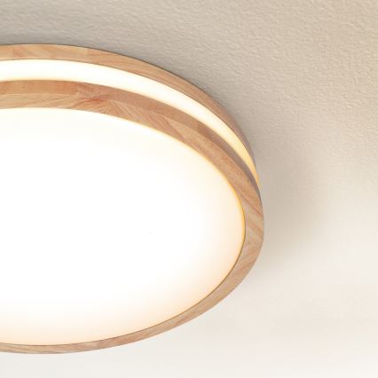 Brilagi - LED Laevalgusti MOLINA LED/24W/230V tamm