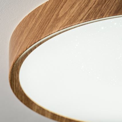 BRILAGI - LED laevalgusti NATURA, 12 W, 230 V, 4000 K, läbimõõt 26,3 cm