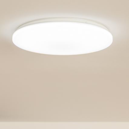 Brilagi - LED Laevalgusti OPAL LED/24W/230V