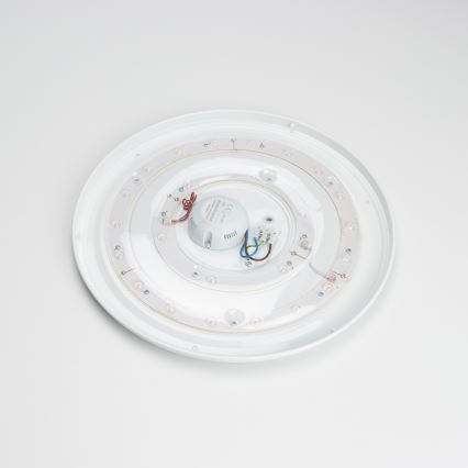 Brilagi - LED Laevalgusti OPAL LED/24W/230V