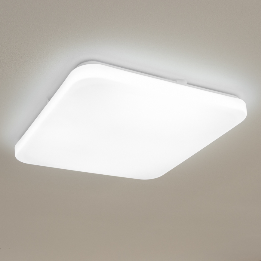 Brilagi - LED Laevalgusti OPAL LED/24W/230V