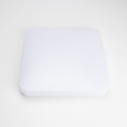 Brilagi - LED Laevalgusti OPAL LED/24W/230V