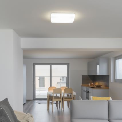 Brilagi - LED Laevalgusti PLAIN LED/24W/230V 3000K