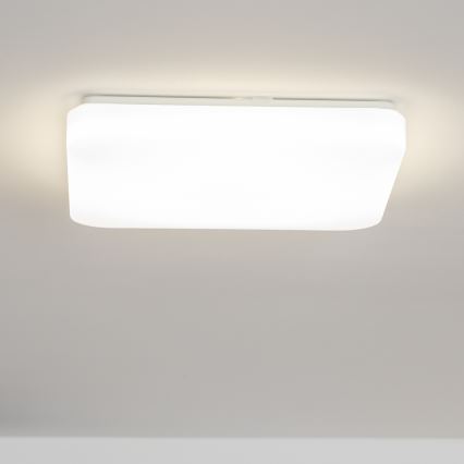 Brilagi - LED Laevalgusti PLAIN LED/24W/230V 3000K