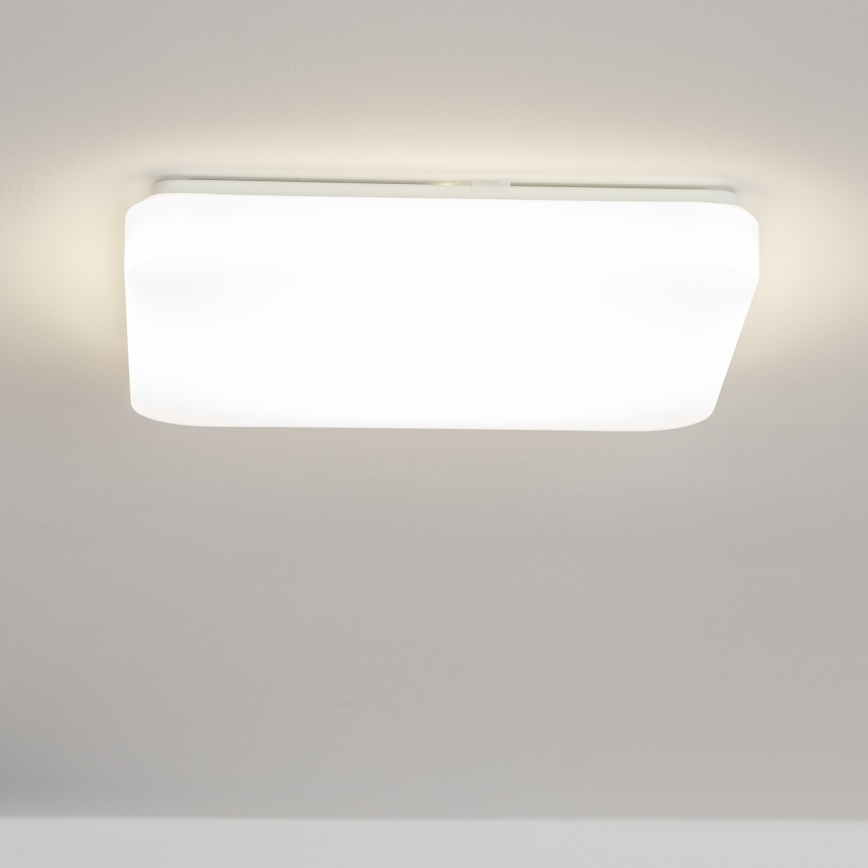 Brilagi - LED Laevalgusti PLAIN LED/24W/230V 3000K