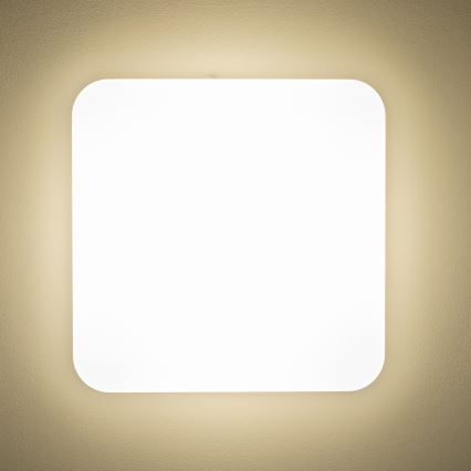Brilagi - LED Laevalgusti PLAIN LED/24W/230V 3000K