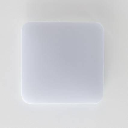 Brilagi - LED Laevalgusti PLAIN LED/24W/230V 3000K