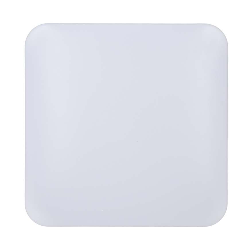 Brilagi - LED Laevalgusti PLAIN LED/24W/230V 3000K