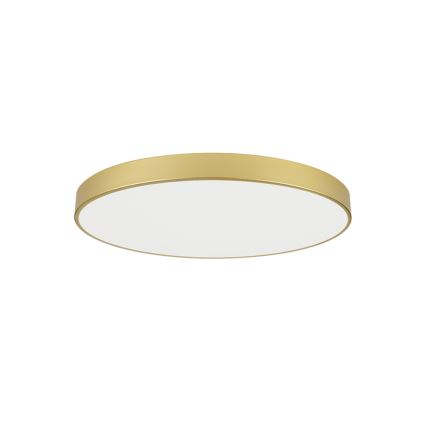 Brilagi - LED laevalgusti POOL LED/100W/230V 3000/4000/6000K läbimõõt 80 cm kuldne
