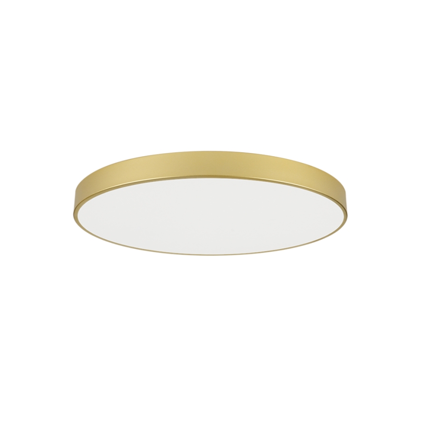 Brilagi - LED laevalgusti POOL LED/100W/230V 3000/4000/6000K läbimõõt 80 cm kuldne