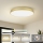 Brilagi - LED laevalgusti POOL LED/128W/230V 3000/4000/6000K läbimõõt 100 cm kuldne