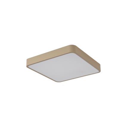 Brilagi - LED laevalgusti POOL LED/36W/230V 3000/4000/6000K 40x40 cm beež