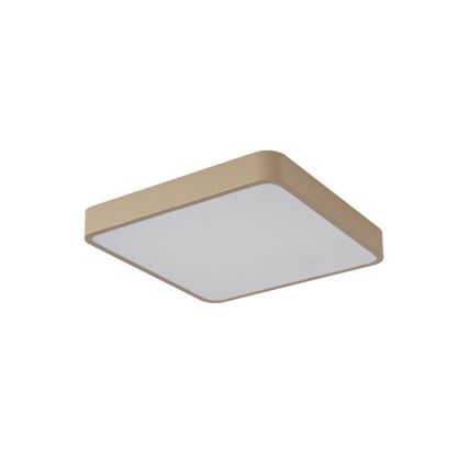 Brilagi - LED laevalgusti POOL LED/48W/230V 3000/4000/6000K 50x50 cm beež