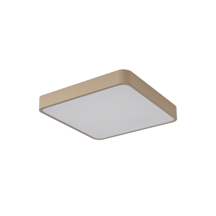 Brilagi - LED laevalgusti POOL LED/48W/230V 3000/4000/6000K 50x50 cm beež