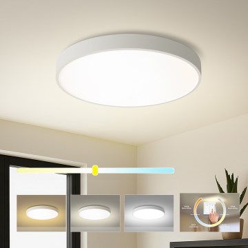 Brilagi - LED laevalgusti POOL LED/60W/230V 3000/4000/6000K 50 cm valge