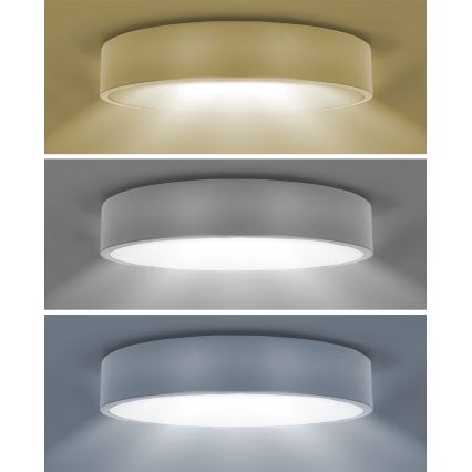 Brilagi - LED laevalgusti POOL LED/60W/230V 3000/4000/6000K 50 cm valge