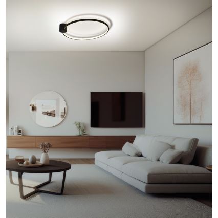 Brilagi - LED Laevalgusti RINGO LED/18W/230V