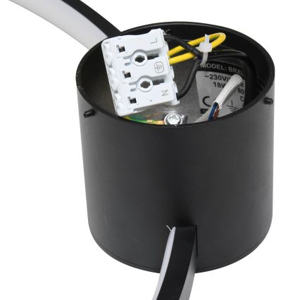 Brilagi - LED Laevalgusti RINGO LED/18W/230V