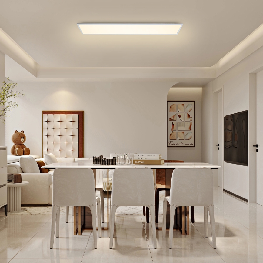 Brilagi - LED Laevalgusti SLIMFRAME LED/58W/230V 120x30 cm valge