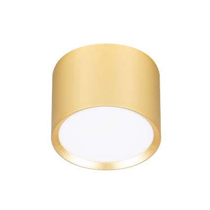 BRILAGI - LED laevalgusti SMOOTH 1xGX53/15W/230V 60x82 mm kuldne