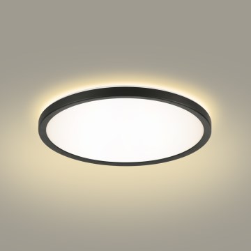 Brilagi - LED Laevalgusti vannituppa ULTRA SLIM LED/12W/230V d. 22,5 cm must IP54