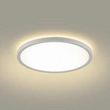 Brilagi - LED Laevalgusti vannituppa ULTRA SLIM LED/12W/230V d. 22,5 cm valge IP54