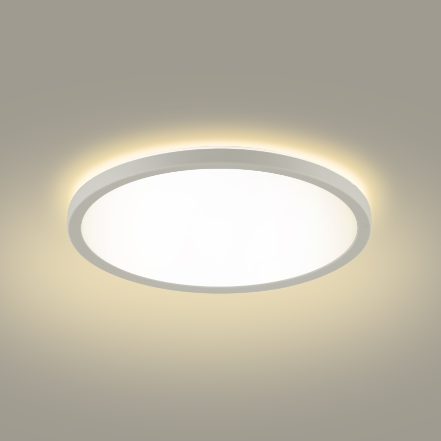 Brilagi - LED Laevalgusti vannituppa ULTRA SLIM LED/12W/230V d. 22,5 cm valge IP54