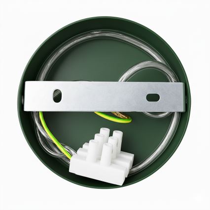 Brilagi - LED Lühter FLAMENGO 1xE27/60W/230V roheline