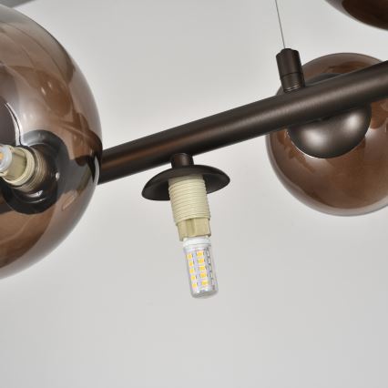 Brilagi - LED lühter kaablil MILLA 10xG9/3W/230V pruun/suitsune pruun