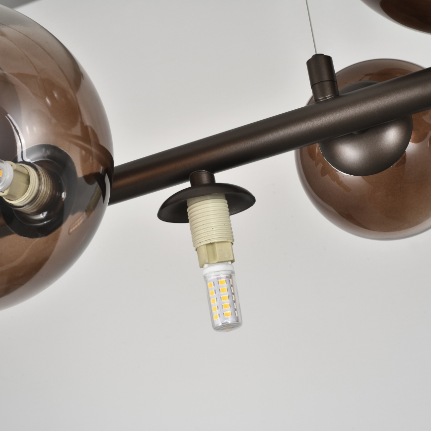 Brilagi - LED lühter kaablil MILLA 10xG9/3W/230V pruun/suitsune pruun