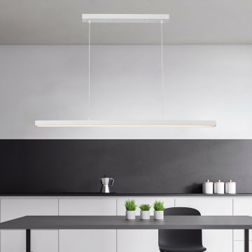 Brilagi - LED lühter kaablil PAXIS LED/30W/230V 120 cm valge
