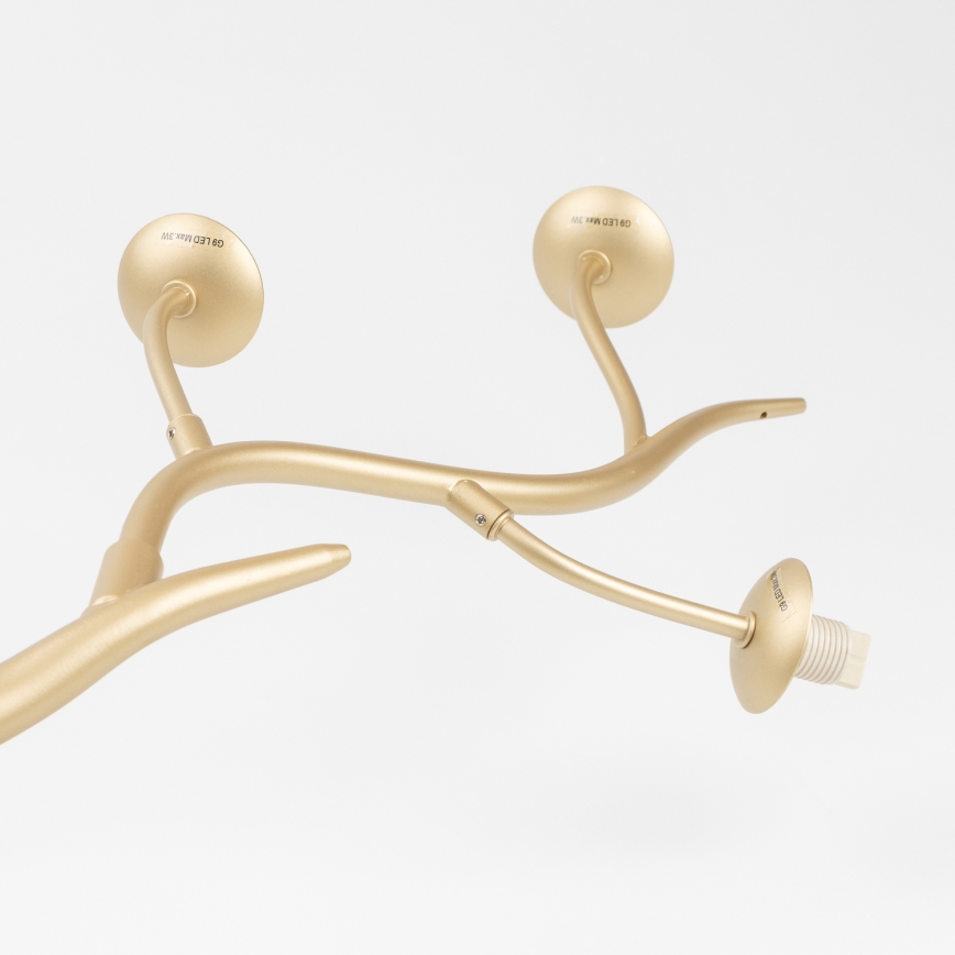 Brilagi - LED Lühter MISTEL 6xG9/3W/230V kuldne