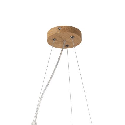 Brilagi - LED-lühter riputuskaabliga CARVALHO MODERN 3xE27/60W/230V tamm läbimõõt 47,5 cm