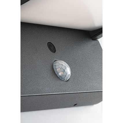 Brilagi - LED Päikesepaneeliga seinavalgusti liikumis- ja hämarusanduriga ANKLE LED/10W/3,7V 3000 mAh 3000K IP65 antratsiit