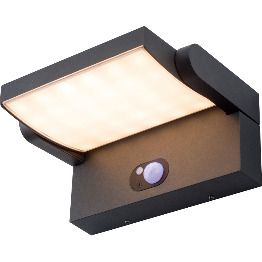 Brilagi - LED Päikesepaneeliga seinavalgusti koos anduriga ANKLE LED/3,5W/3,7V 2200 mAh IP54