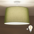 Brilagi - LED pealepandav laelamp CERIA 1xE27/60W/230V, läbimõõt 45 cm, valge/roheline
