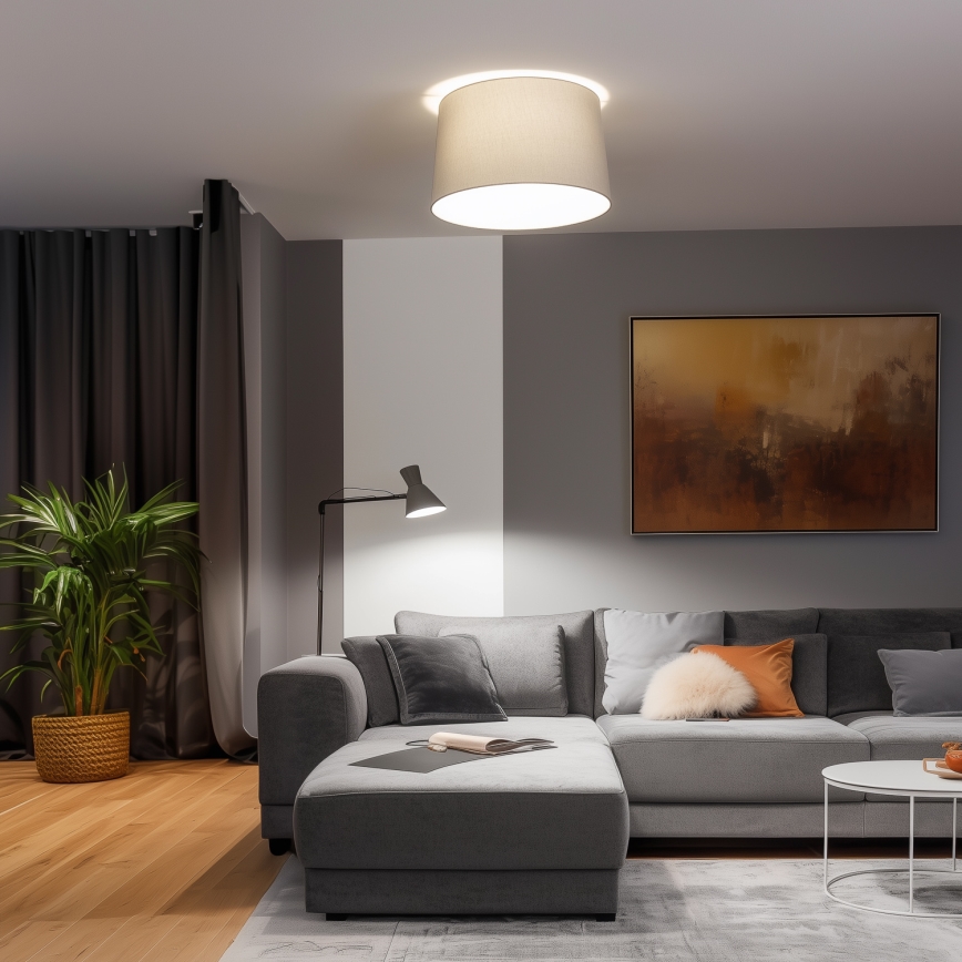 Brilagi - LED pindpaigaldatud laelamp CERIA 1xE27/40W/230V läbimõõt 45 cm hall