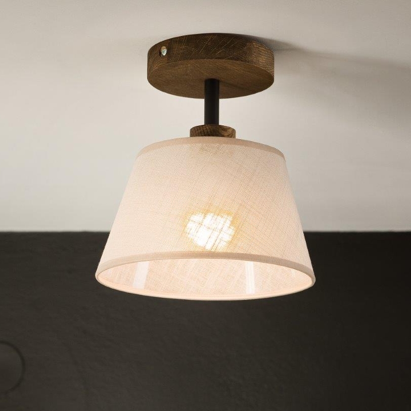 Brilagi - LED  Pinnale kinnitatav lühter ANTHONY 1xE14/60W/230V tamm/beež