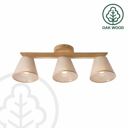 Brilagi - LED  Pinnale kinnitatav lühter ANTHONY 3xE14/40W/230V tamm/beež