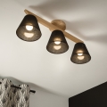 Brilagi - LED  Pinnale kinnitatav lühter ANTHONY 3xE14/40W/230V tamm/must