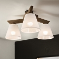 Brilagi - LED  Pinnale kinnitatav lühter ANTHONY 3xE14/40W/230V tamm pähklipuu/valge