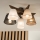 Brilagi - LED  Pinnale kinnitatav lühter ANTHONY 5xE14/40W/230V tamm pähklipuu