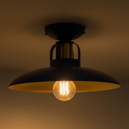 Brilagi - LED Pinnale kinnitatav lühter FLAMENGO 1xE27/60W/230V sinine