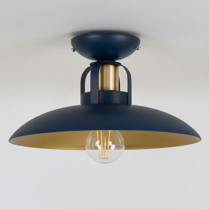 Brilagi - LED Pinnale kinnitatav lühter FLAMENGO 1xE27/60W/230V sinine