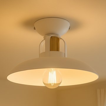 Brilagi - LED Pinnale kinnitatav lühter FLAMENGO 1xE27/60W/230V valge