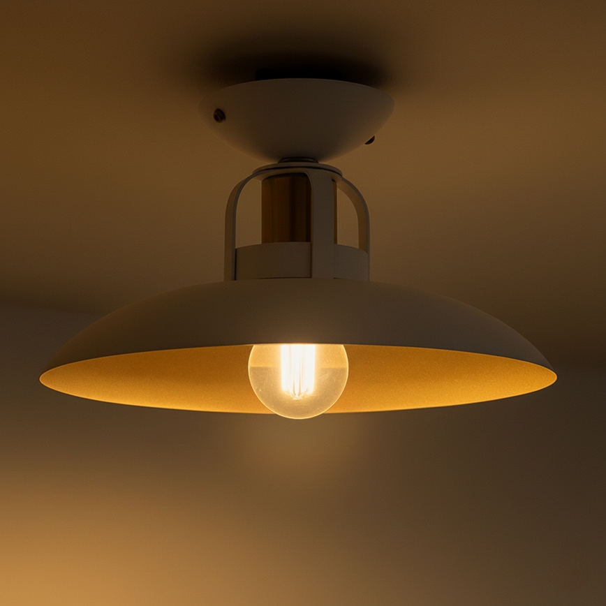 Brilagi - LED Pinnale kinnitatav lühter FLAMENGO 1xE27/60W/230V valge