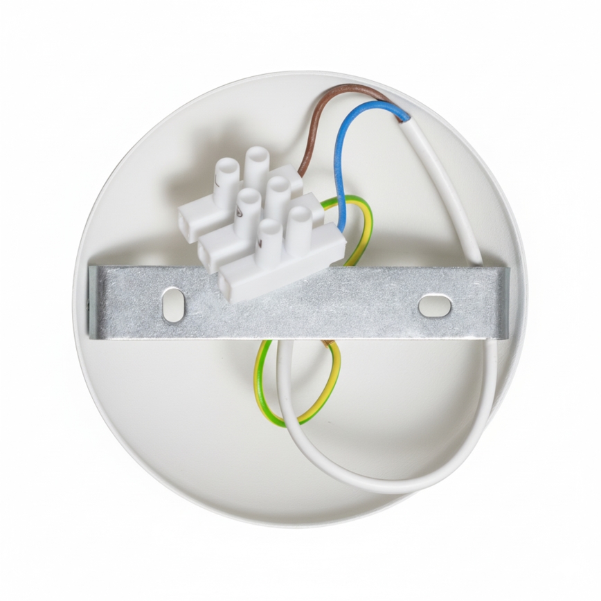 Brilagi - LED Pinnale kinnitatav lühter FLAMENGO 1xE27/60W/230V valge