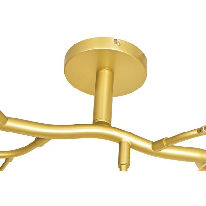 Brilagi - LED Pinnale kinnitatav lühter MISTEL 15xG9/3W/230V kuldne